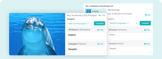 Customizable Translations